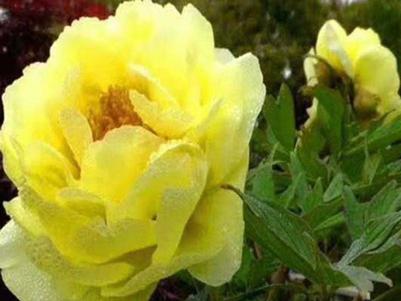 ?；?></dt><dd></dd></ol>
</ul>
<!--圖片展示結(jié)束-->
</div>

<div   id=